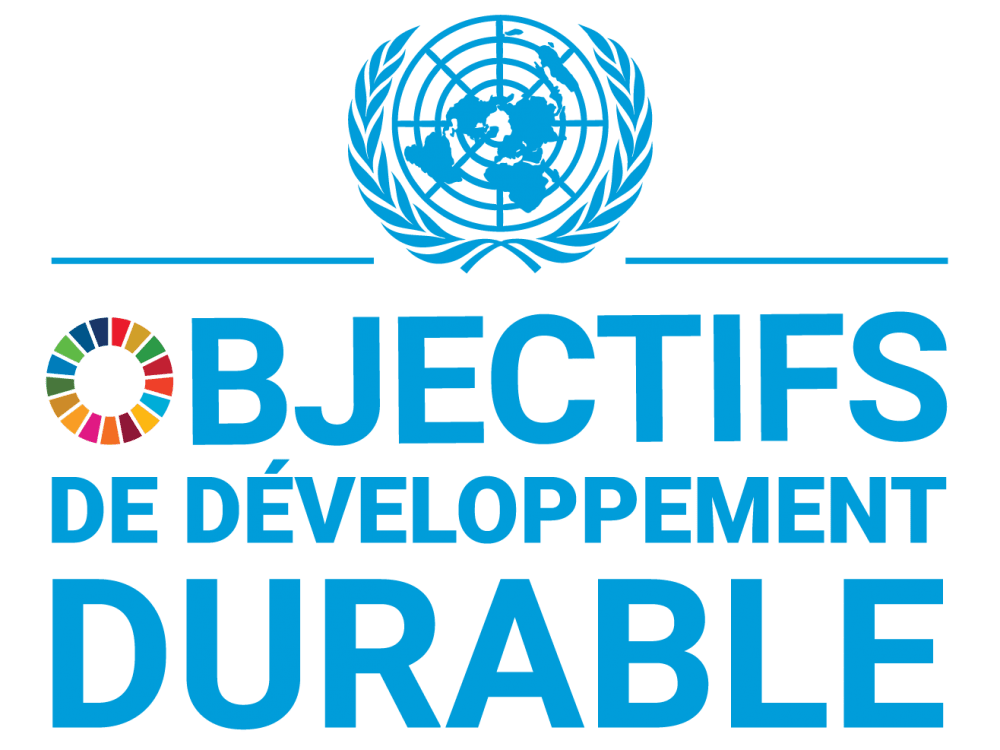 Introøvelse: Les objectifs de développement durable