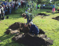 Skoler planter skove selv, for eleverne er vilde med naturløsninger i undervisningen