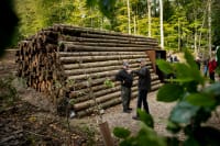 Spildevand giver strøm til danske husstande