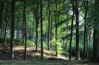 Hvilken kommune har den bedste natur? Ny liste giver dig svaret