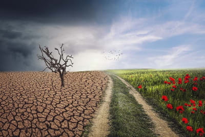 Klimaforandringer og ulighed