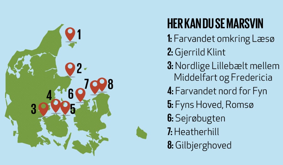 Grafik: Lauge Eilsøe-Madsen