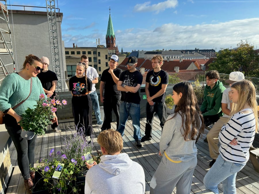 Lærer Christel Petersen (til venstre i billedet) er sammen med en gruppe elever fra 3.g i gang med at gøre gymnasiets tagterrasse til et grønt paradis for både mennesker og insekter. Foto: Anne Burlund