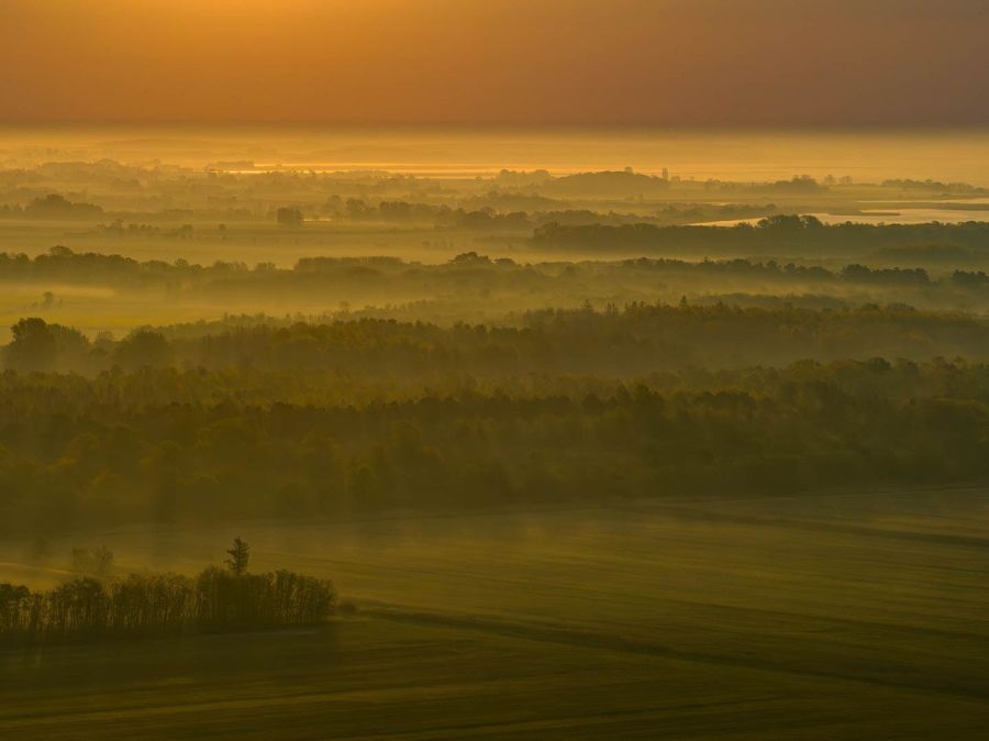  På Saksfjed Vildmark på Lolland er Danmarks måske største naturgenopretningsprojekt ved at tage form. Foto: Hempel Fonden