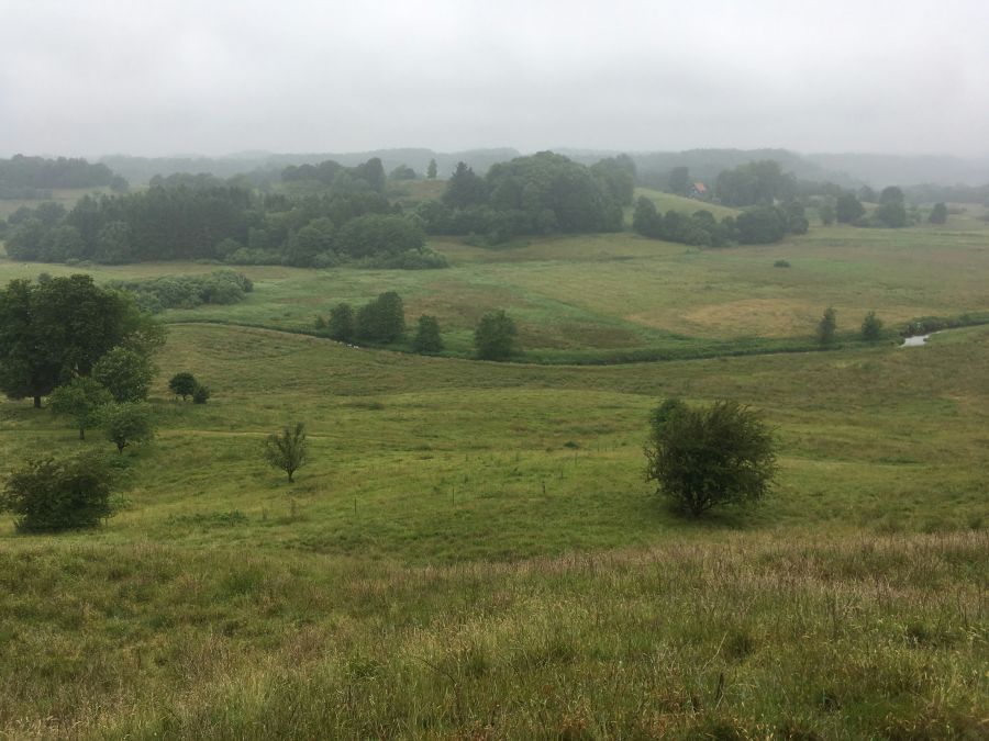 Selv i tåge kan man fornemme det bugtede landskab. Foto fra Danmarks Naturfredningsforening