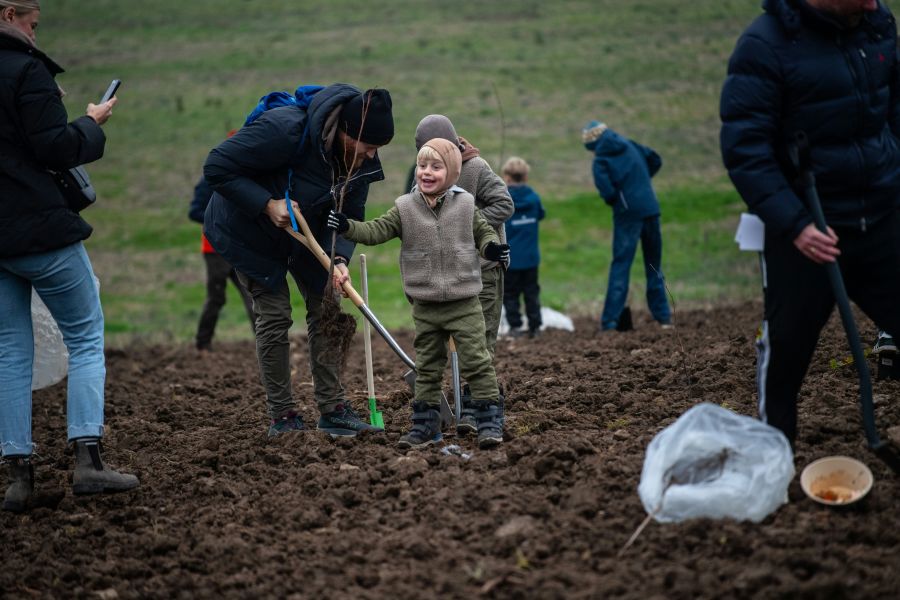 Flere hundrede aarhusianere var mødt op for at hjælpe til med at plante 1.000 træer i Aarhus nyeste skov. Foto: Casper Tybjerg