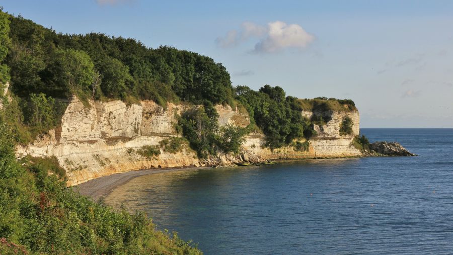Stevns Klint er et af de få danske naturområder på UNESCOs Verdensarvsliste. Foto: iStock/perreten