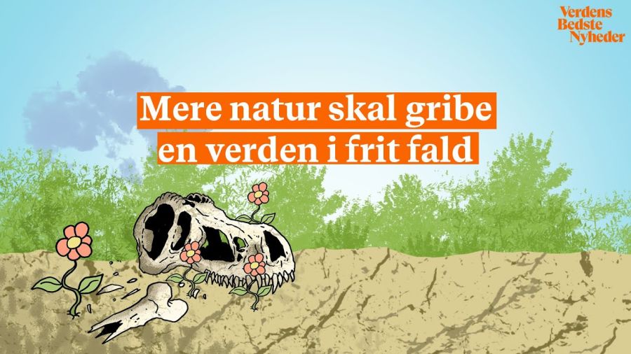 Mere natur kan gribe en verden i frit fald